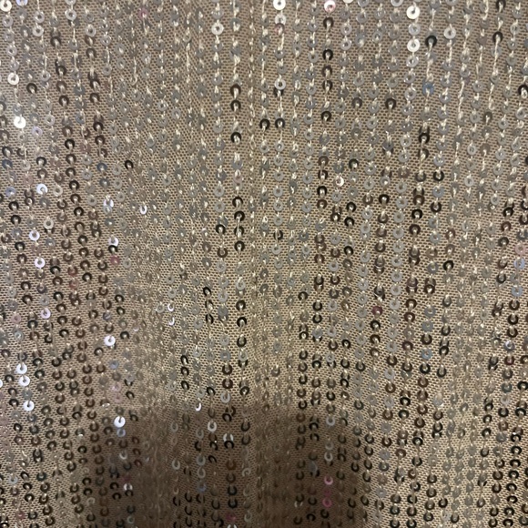 Sequin Dress - Picture 3 of 3